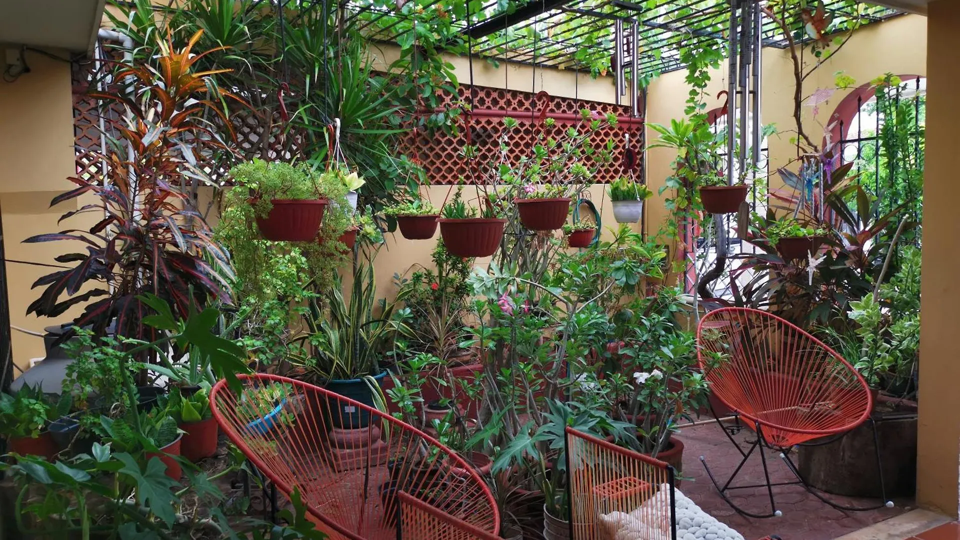Casa Colibri Villa Merida